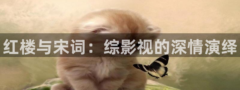 神马影院不卡伦理