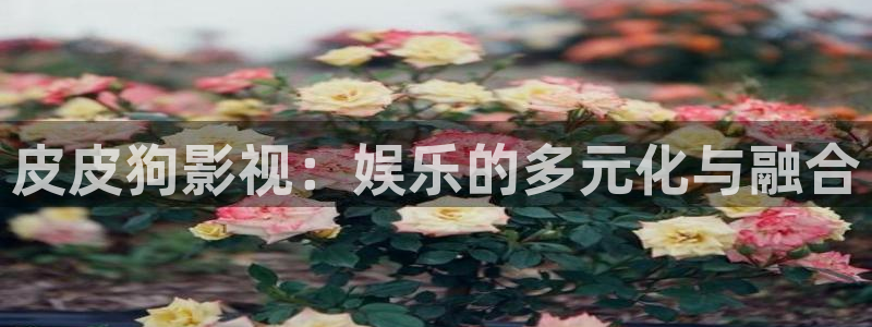 神马电影在线观看不卡