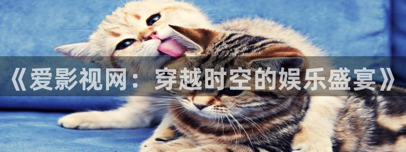 神马电影午夜电影在线观看