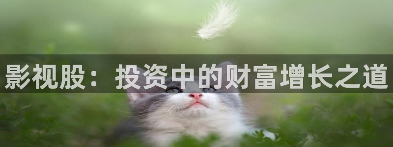 神马老司机电影