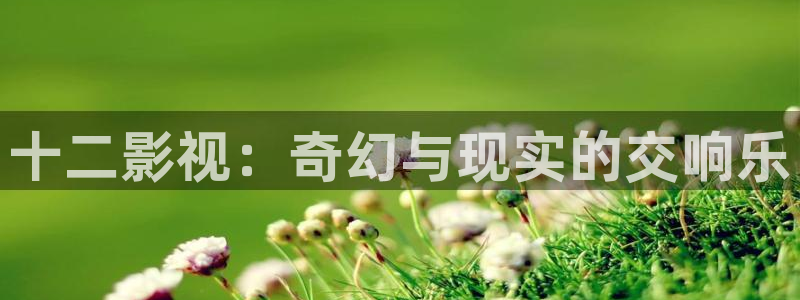 神马影院麻豆影视